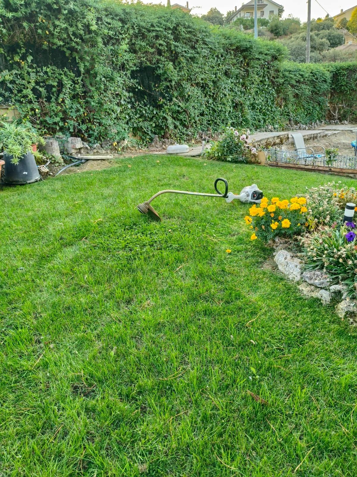 Jardín moderno con diseño limpio y natural