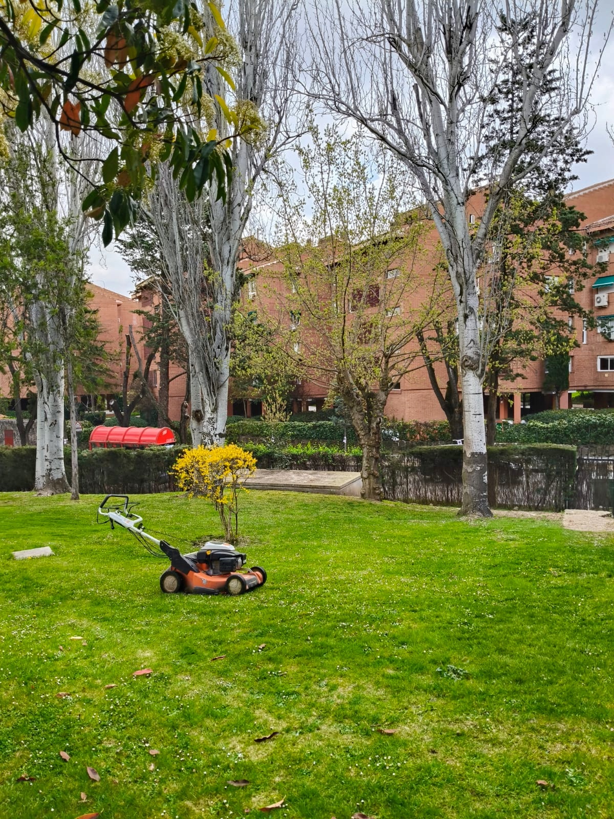 Espacio urbano convertido en un rincón verde