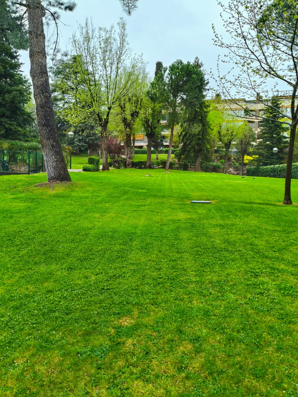 Terraza donde se funden interior y exterior