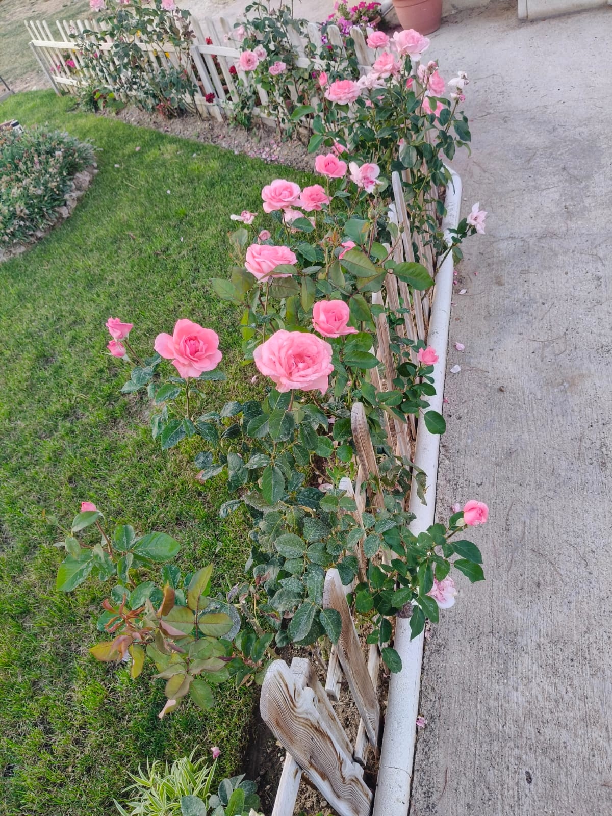 Zona de descanso con agua integrada