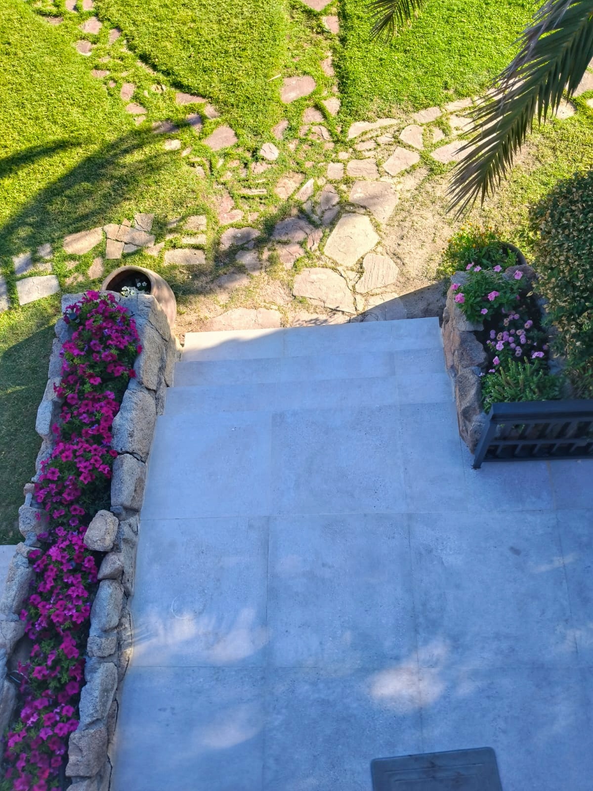 Jardín vertical en un espacio de trabajo